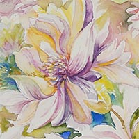 Star Magnolia
